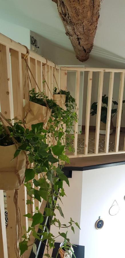 Studio Mediterraneenne Montpellier Buitenkant foto